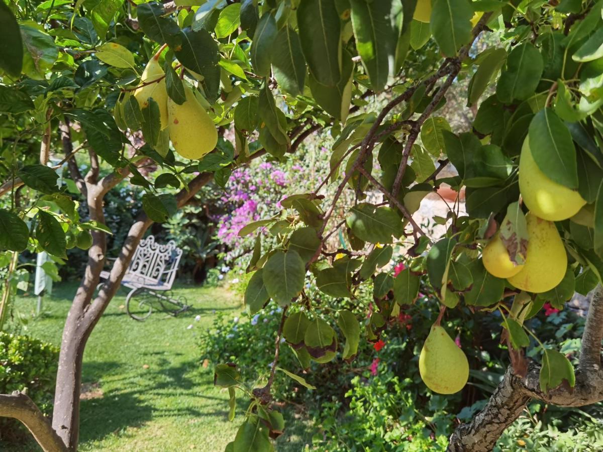 Il Giardino Di Tatiana Rooms & Breakfast La Maddalena  Exterior photo