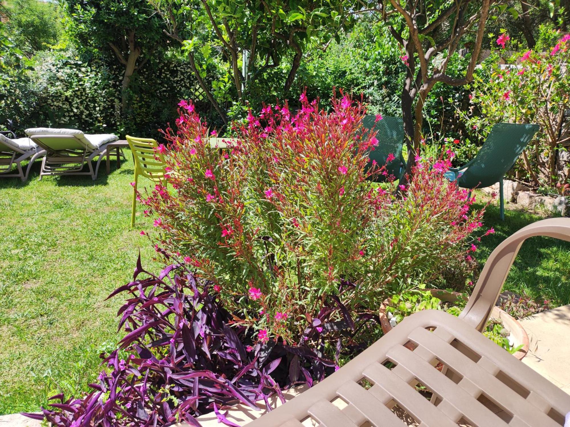 Il Giardino Di Tatiana Rooms & Breakfast La Maddalena  Exterior photo