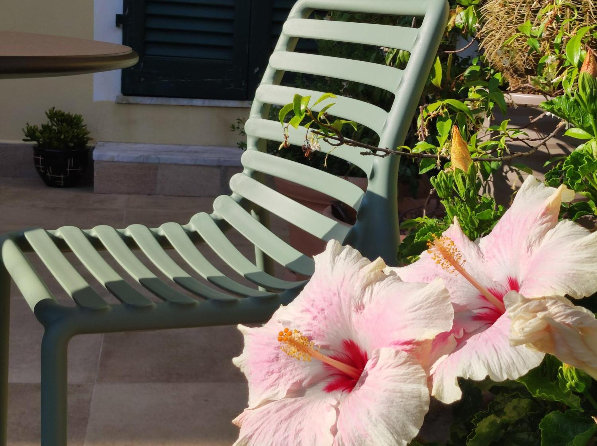 Il Giardino Di Tatiana Rooms & Breakfast La Maddalena  Room photo