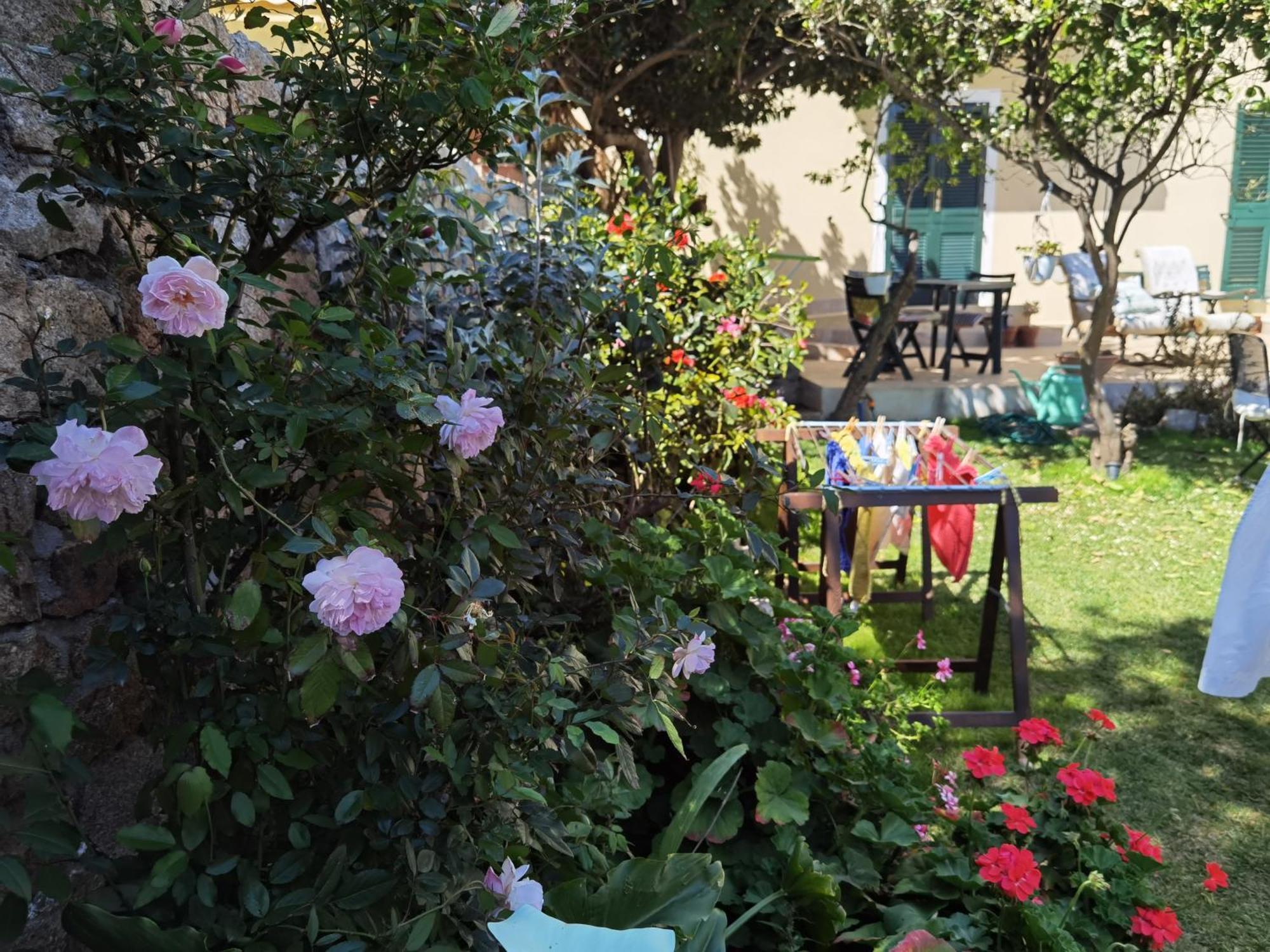 Il Giardino Di Tatiana Rooms & Breakfast La Maddalena  Room photo