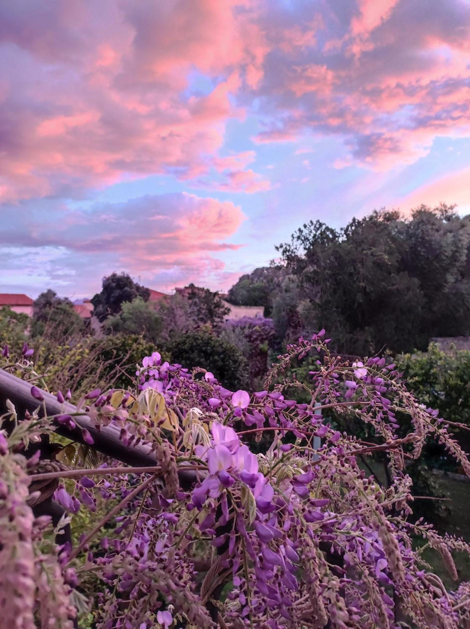 Il Giardino Di Tatiana Rooms & Breakfast La Maddalena  Room photo