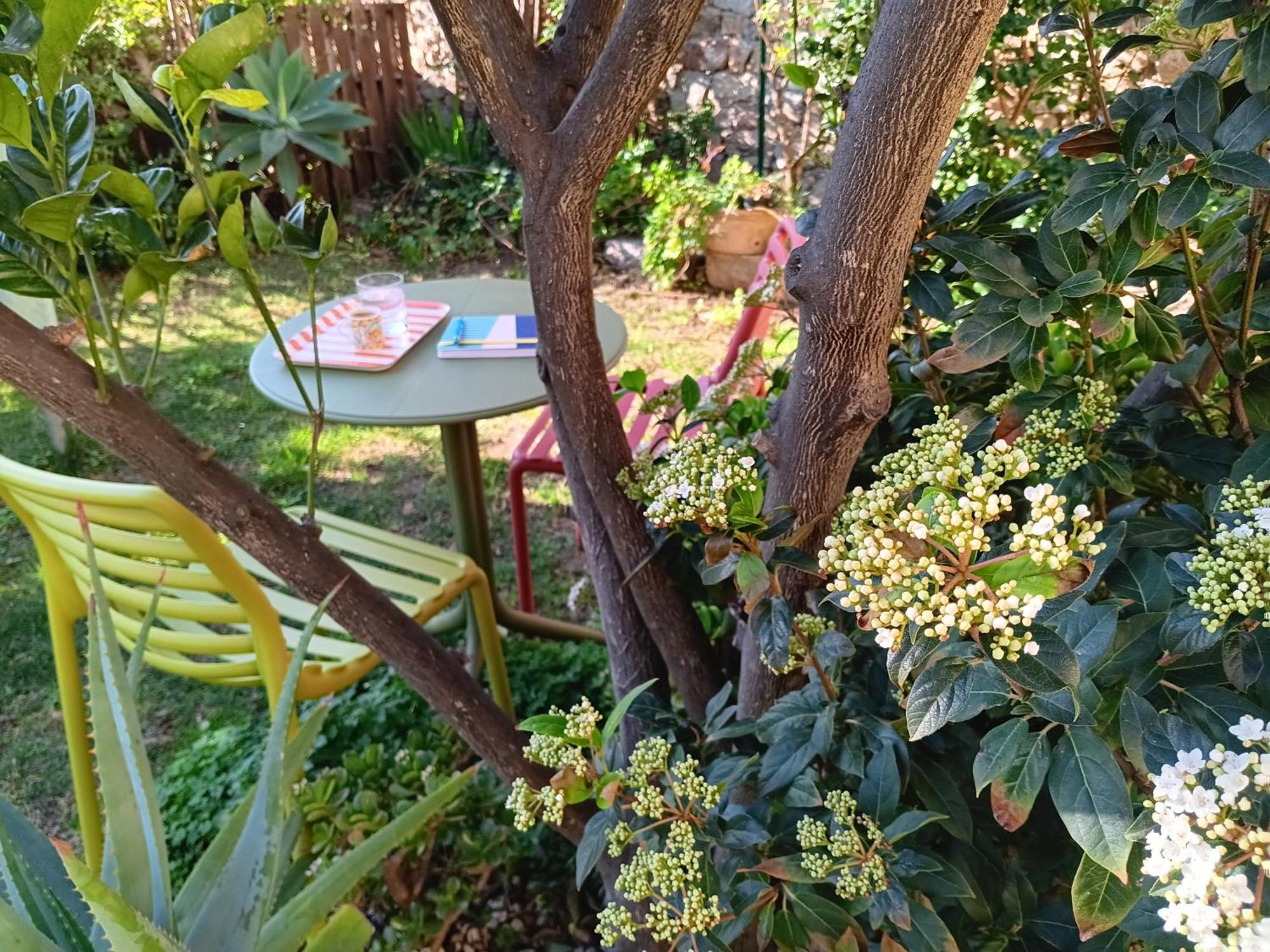 Il Giardino Di Tatiana Rooms & Breakfast La Maddalena  Room photo